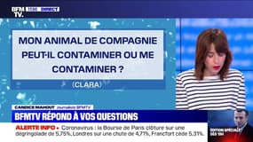 Mon animal de compagnie peut-il me contaminer ? BFMTV répond à vos questions