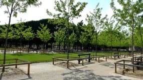 Le Jardin du Luxembourg fermé au public pendant le confinement
