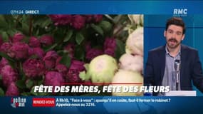 Dupin Quotidien : Fête des mères, fête des fleurs - 28/05