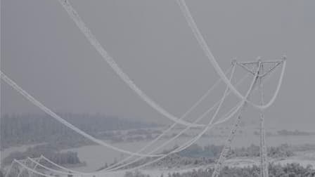 La France est touchée depuis vendredi par une vague de froid qui pourrait durer jusqu'à la fin de la semaine et entraîne des coupures d'électricité et des perturbations dans le ramassage scolaire. /Photo d'archives/REUTERS/Peter Andrews