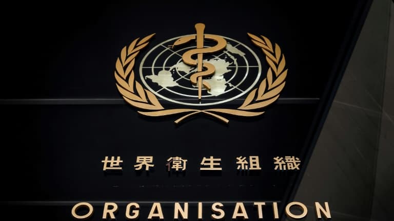 Une équipe de l'Organisation mondiale de la Santé (OMS), chargée d'enquêter sur l'origine du coronavirus, doit arriver en Chine le 14 janvier 2021.
