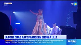 10 candidates de l'émission Drag Race en show à Lille