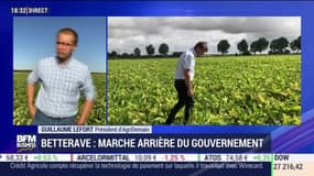 Betterave: marche arrière du gouvernement - 06/08