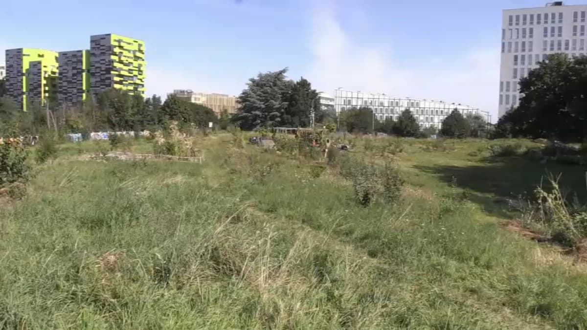 placeholder video