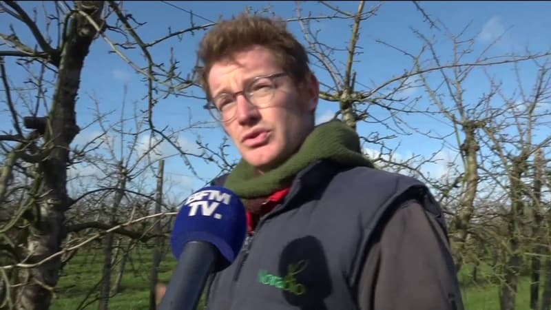 Des fruiticulteurs inquiets par le retour du froid, alors que certains arbres bourgeonnent déjà