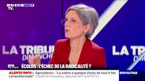 "L'écologie libérale c'est dire 'vous vous débrouillez', c'est mortifère", déclare Sandrine Rousseau