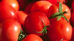La tomate contient notamment un fort taux de lycopène, un puissant antioxydant.
