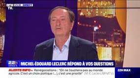 Pour Michel-Édouard Leclerc, "les fruits et légumes resteront chers" mais "on ira chercher des baisses" sur les dosettes de café  