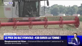 Avec 438 euros la tonne, le prix du blé s'envole et bat un record 