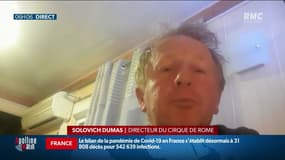 Y a-t-il suffisamment de réglementations pour le bien-être animal dans les cirques? 