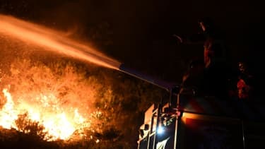 Les pompiers portugais luttent contre les flammes à Colmeal proche de near Gois dans le nord-est du pays, le 21 juin 2017
