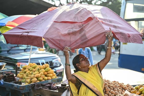 Une vendeuse installe un parapluie alors qu'elle vend des fruits par une chaude journée d'été, à Bengaluru, le 29 avril 2024.