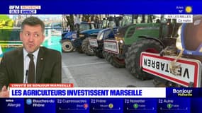 Marseille: le député RN Franck Allisio réaffirme son soutien aux agriculteurs