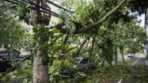 Dégâts causés par une tempête à Timisoara, en Roumanie, le 17 septembre 2017