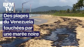 Venezuela: "Une énorme marée noire" touche les plages du nord-ouest du pays