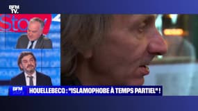 Story 3 : Michel Houellebecq, islamophobe "à temps partiel" ! - 05/01