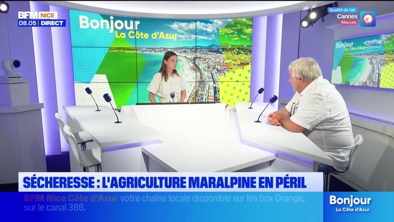 De nombreux secteurs de l'agriculture touchés avec un fort impact sur les étals