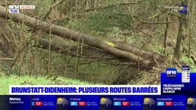 Brunstatt-Didenheim: plusieurs routes barrées par mesure de sécurité