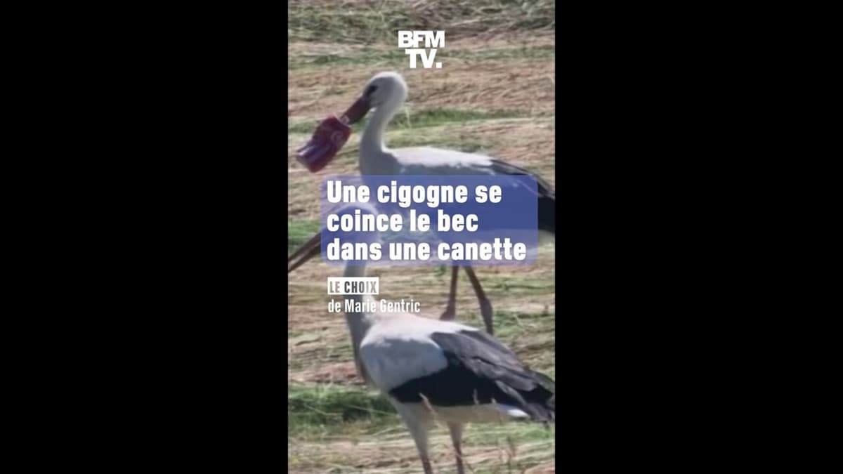 placeholder video