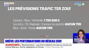 Réforme des retraites: les perturbations du réseau Zou ce mercredi