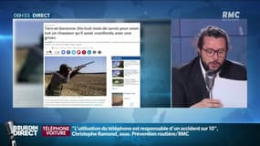 Il "confond" un collègue avec "une grive": 18 mois de prison avec sursis pour un chasseur