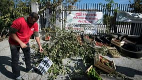 A l'appel des syndicats FNSEA et Jeunes agriculteurs (JA), des milliers de paysans veulent exprimer leur mal-être et leur mécontentement devant les préfectures de l'Hexagone.