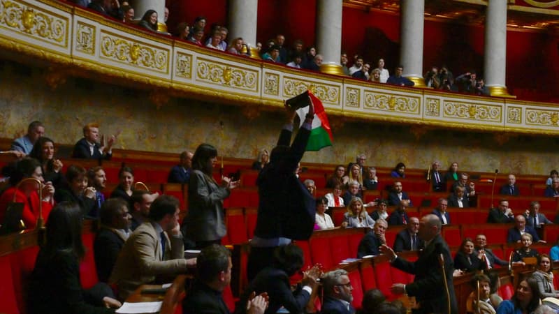 Drapeau palestinien brandi à l'Assemblée: sur quels fondements le député LFI a-t-il été sanctionné?