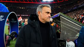 Luis Enrique lors de Bayern-PSG le 26 novembre 2024 en Ligue des champions
