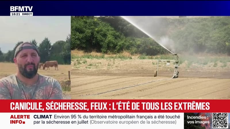 Sécheresse et canicule: "Les stocks sont mis en danger", déplore Jérôme Bayle, éleveur de bovins