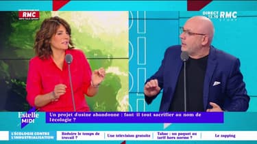 Un projet d'usine abandonné en Bretagne : doit-on tout sacrifier au nom de l’écologie ? 