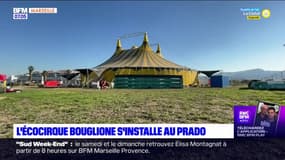 Marseille: l'écocirque Bouglione s'installe au Prado