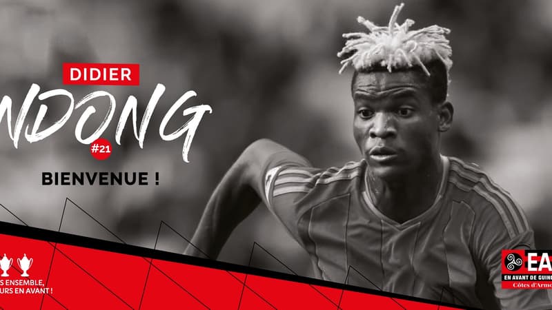 Didier Ndong