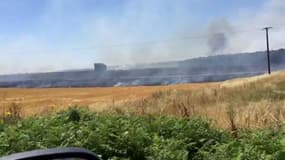 Le feu sur des hectares de culture de blé à Fontaine-les-Coteaux - Témoins BFMTV