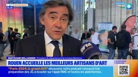 Rouen: salon Collection d'Art, 3 questions au président du département de la Seine-Maritime