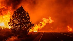 Un mégafeu traverse la route 36 près de Paynes Creek, en Californie, aux États-Unis, le 26 juillet 2024. 