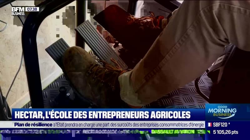 Impact : Hectar, l'école des entrepreneurs agricoles, par Cyrielle Hariel - 17/03