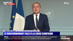 Confinement: "La chaîne alimentaire tient, il n'y aura pas de pénurie", insiste Didier Guillaume, ministre de l'Agriculture