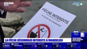 Mandelieu-la-Napoule: la pêche désormais interdite face à la multiplication des incivilités
