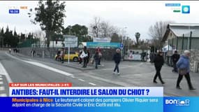 ANTIBES : FAUT-IL INTERDIRE LE SALON DU CHIOT ?