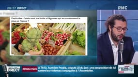 Avez-vous goûté le raisin... sans pesticide de Jean-Jacques Bourdin? 