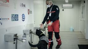 Un chien renifleur est entraîné à détecter le Covid-19 par un pompier français, à Libourne, dans le sud-ouest de la France, le 29 janvier 2021