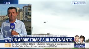 Tarn-et-Garonne: Un arbre tombé sur des enfants (1/2)