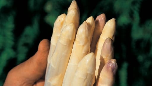 On trouve toute l’année des asperges chez nos primeurs mais elle ne sont pas françaises