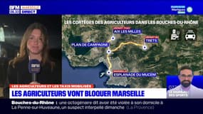 Bouches-du-Rhône: nouvelle mobilisation des agriculteurs ce lundi, une cinquantaine de tracteurs attendus à Marseille
