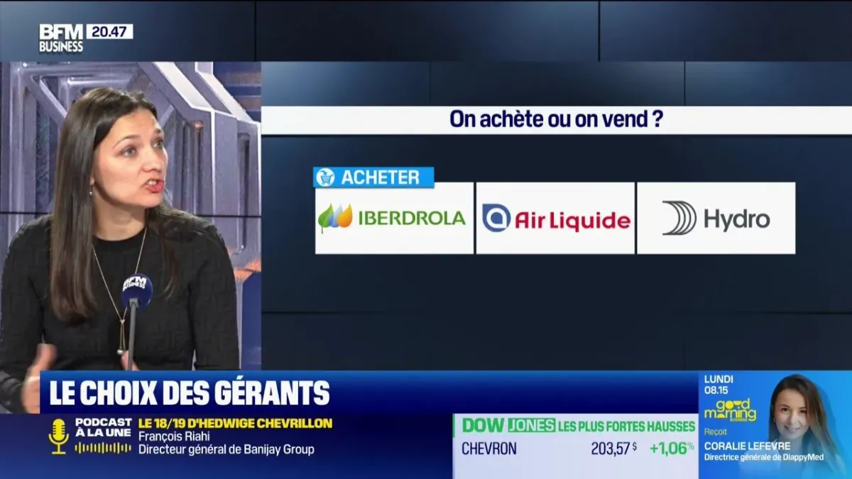 On achte ou on vend ? : Iberdrola, Air Liquide, Hydro, et Franaise De  l'nergie - 20/03