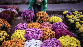 Une femme dépose des chrysanthèmes dans un cimetière de Lyon, en 2013.