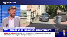 Affaire Alain Delon: Hiromi Rollin porte plainte contre les enfants de l'acteur pour "violences en réunion, "dénonciation calomnieuse" et "vol"
