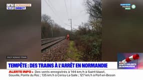 Tempête Gérard: des trains à l'arrêt en Normandie