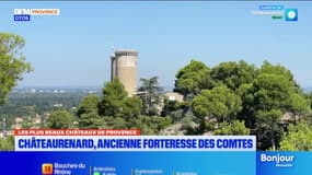 Les plus beaux châteaux de Provence: à la découverte de l'ancienne forteresse des comtes de Provence