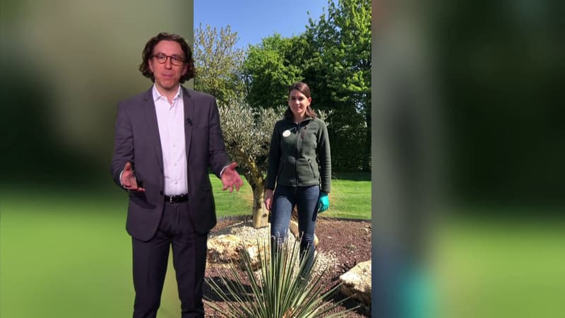 1er disque d'or de l'histoire & conseil jardinage - La météo de Colas du mardi 10 février 2026